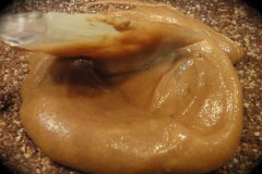 Raw-Caramel-Sauce--Frosting