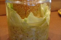 Fermentating Foods