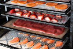Using Dehydrators