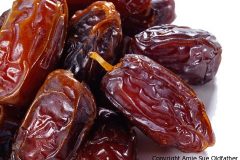 Date Paste