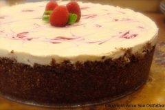 Pecan-Macadamia-Chocolatey-Crust