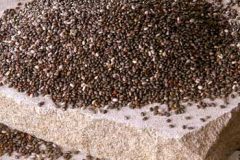 Chia Gel
