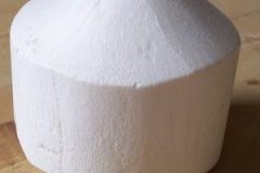 Coconut Milk / Cream