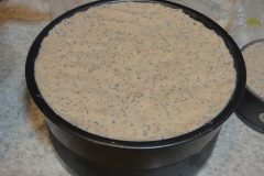 Lemon-Poppy-Seed-Cake-10