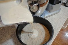 Lemon-Poppy-Seed-Cake-11