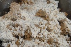 Lemon-Poppy-Seed-Cake-13