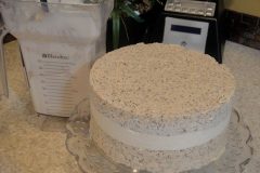 Lemon-Poppy-Seed-Cake-9