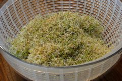 Gently place sprouts in salad spinner