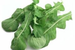 Arugula