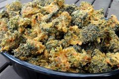 Spicey-Cheese-Broccoli-Nibblets