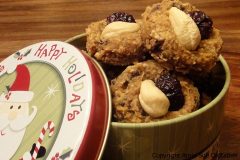 Pumpkin-Banana-Cranberry-Chocolate-Chip-Cookies112