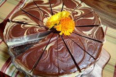 Deluxe-Apricot-and-Chocolate-Swirl-Cheesecake-(nut-free)6