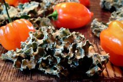 Jamaican-Jerk-Kale-Chips1