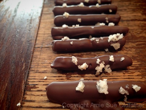 Salted-Chocolate-covered-Pretzels5