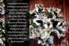 Sweet-Miso-Kale-Chips