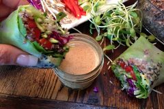 Equinox-Rolls-with-Almond-Dipping-Sauce1021