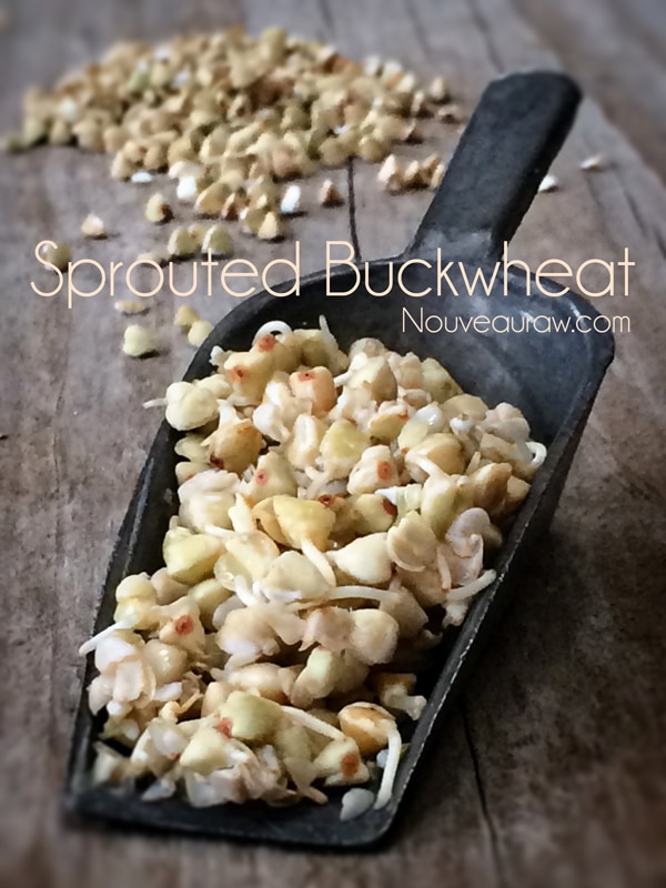 How to Sprout and Use Buckwheat Groats Nouveau RawNouveau Raw