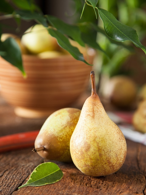 Pears (fresh, frozen, dehydrated)