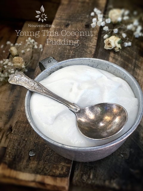 Above - This is what pure blended coconut pudding looks like. So thick a spoon can stand in it.