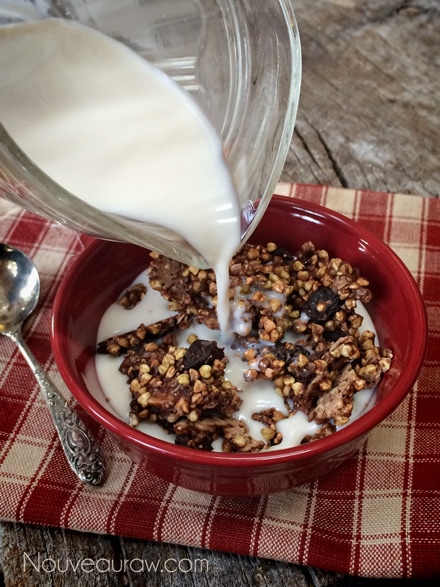 Adding nut milk onto Raw Buckwheat Cacao Pops