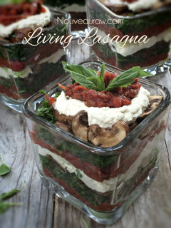 Raw, vegan, gluten free Lasagna