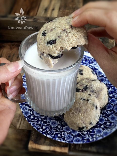 dipping Blueberry Macadamia Nut Cookies in raw almond milk