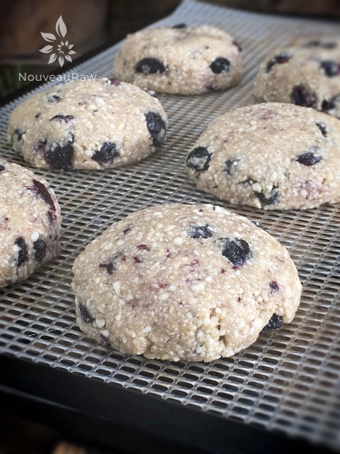 a close up of raw vegan Blueberry Macadamia Nut Cookies ready for the dehydrator