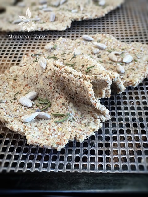 a side view of raw gluten free Crispy Rosemary Flatbread on an Excalibur dehydrator tray