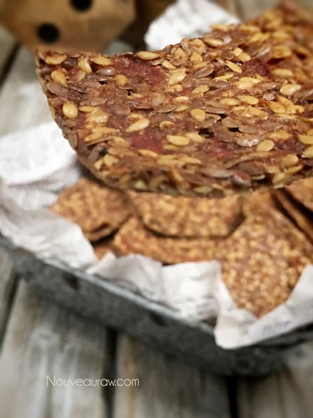a close up of raw vegan dehydrated Mexican Flax Crackers