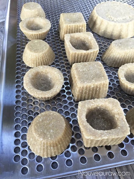 Once the crusts have been shaped, remove them from the molds and place on the mesh sheet that comes with the dehydrator