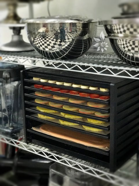 Tips and tricks to consider when investing in a food dehydrator