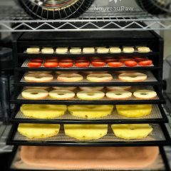 How to Use a Dehydrator