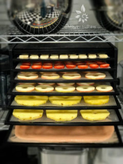 How to Use a Dehydrator