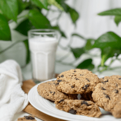 raw and baked options for vegan gluten-free oatmeal raisin cookies