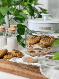 vegan gluten-free peanut butter cookies raw or baked option
