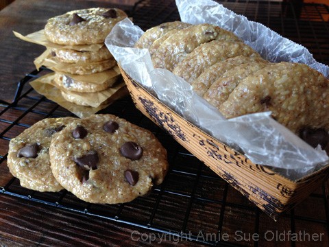 raw vegan gluten free chewy delicious Chocolate Chip Cookies displayed in a box