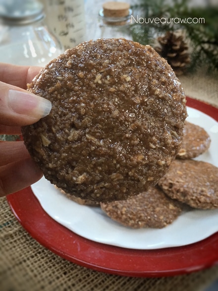 holding up a close up of a Christmas display of raw vegan Frosted Gingerbread Cookie 