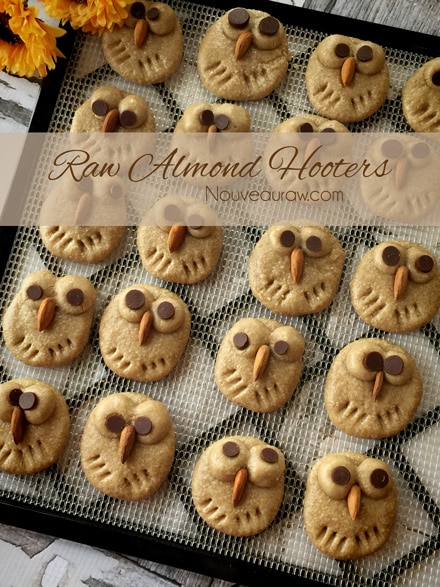 adding chocolate chips to create eyes for the raw vegan Almond Hooter Cookies