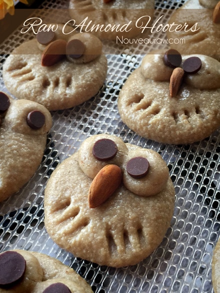 raw vegan Almond Hooter Cookies 