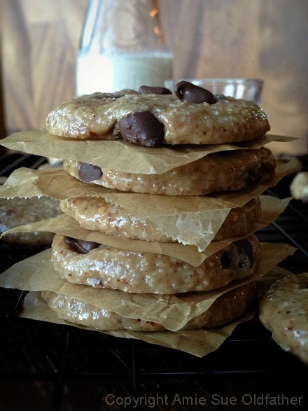  a stack of raw vegan gluten free chewy delicious Chocolate Chip Cookies 