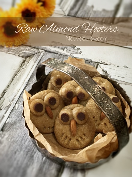 Almond Hooter Cookies displayed on an old white door