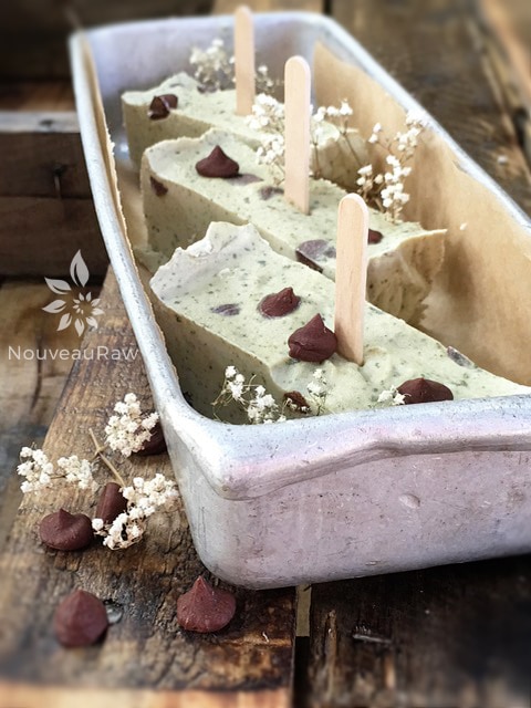 raw dairy free raw vegan Chocolate Chip Mint Ice Cream served in an old fashion ice cube tray