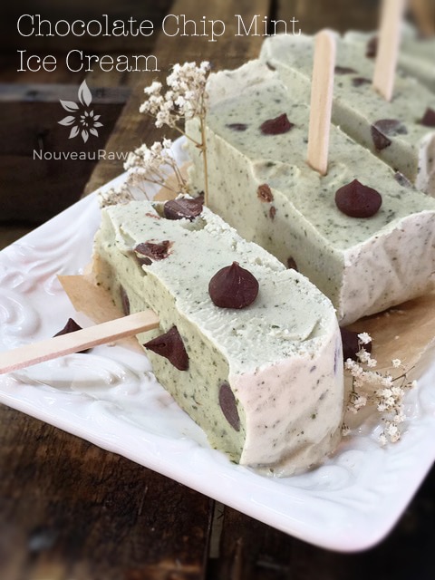 raw vegan Chocolate Chip Mint Ice Cream cut into blocks with sticks in them for holding