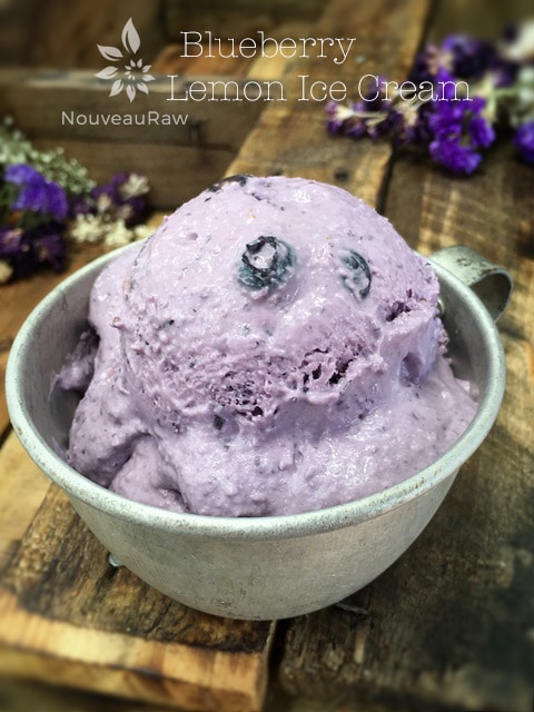 a close up of raw vegan Blueberry Lemon Ice Cream
