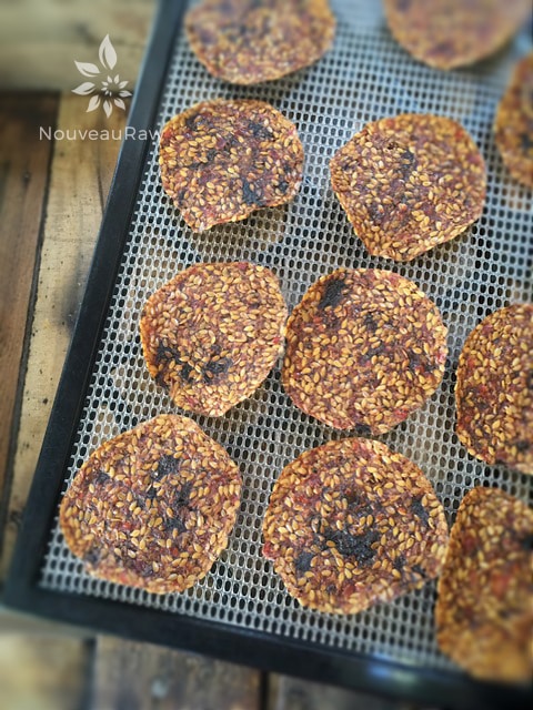 gluten free, raw, vegan Sweet & Savory Italian Crackers displayed on a mesh Excalibur dehydrator tray