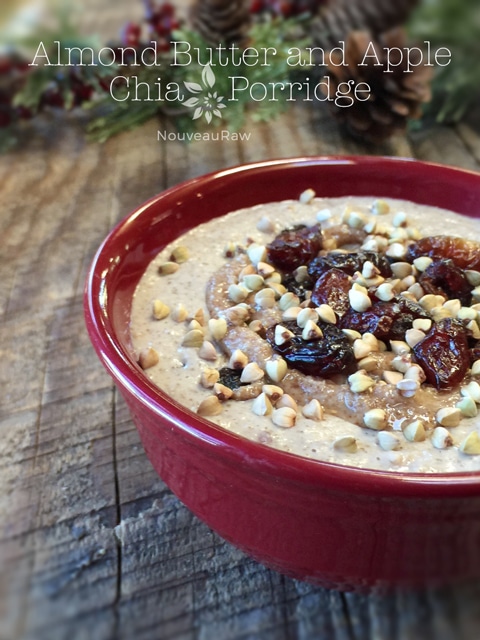 raw vegan gluten-free Almond Butter and Apple Chia Porridge in a red bowl