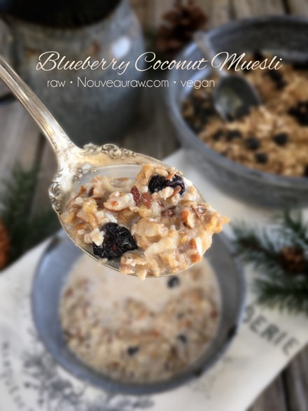 Raw Vegan Blueberry Coconut Muesli Recipe