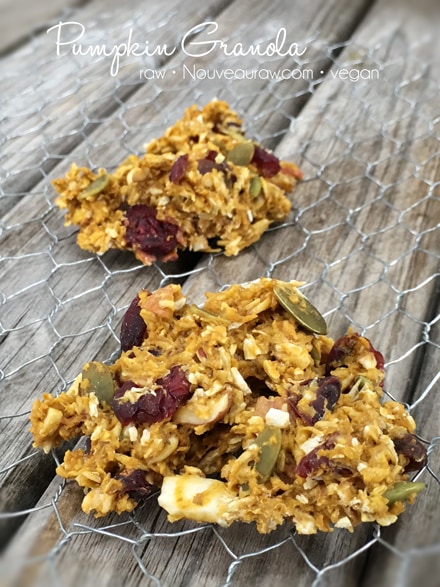 individual chunks of raw gluten-free Pumpkin Granola displayed on a wooden table