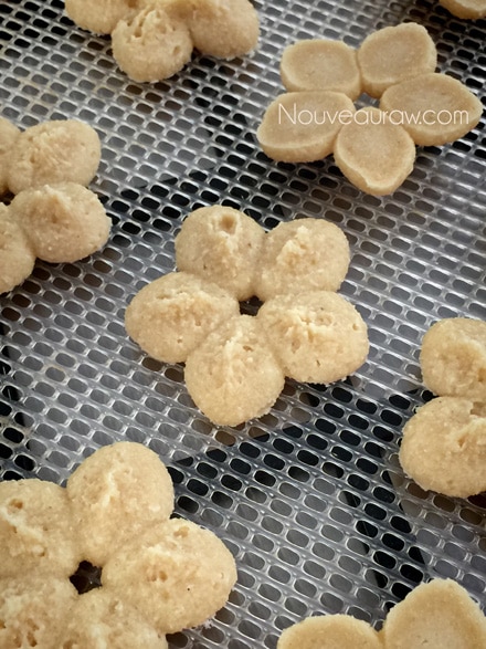 a close of how the raw vegan gluten free Cashew Lemon Spritz Cookies look when dehydrated