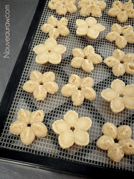 how the raw vegan gluten free Cashew Lemon Spritz Cookies look when dehydrated